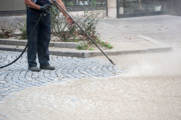Best Graffiti Removal  in Terrell Hills, TX